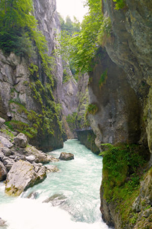 In der Aareschlucht.