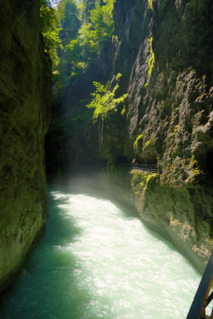 In der Aareschlucht.