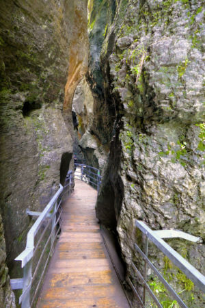 In der Aareschlucht.