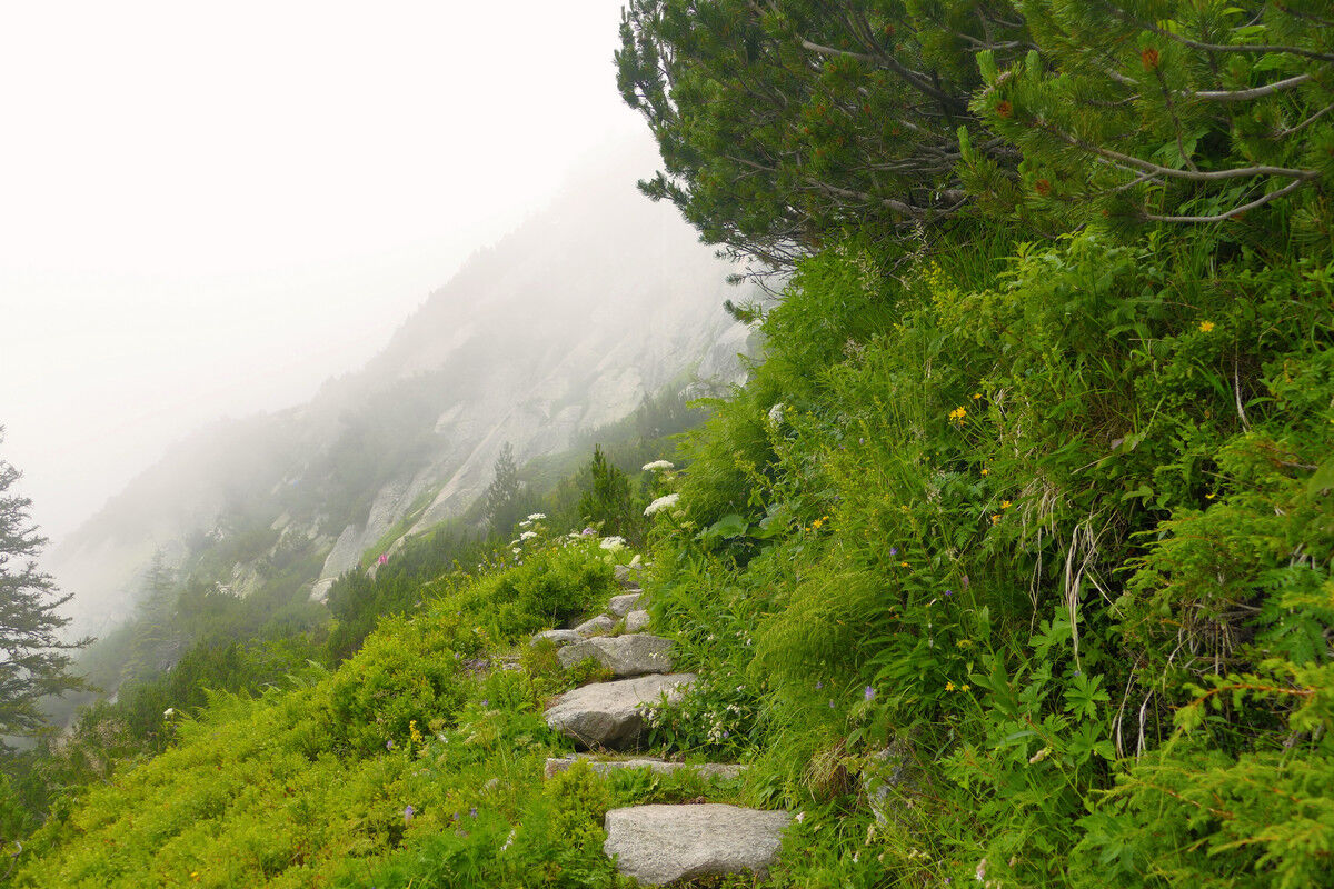 Über viele Steinstufen geht es schmal und steil hinunter.