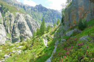 Aufstieg zur Triftbrücke.