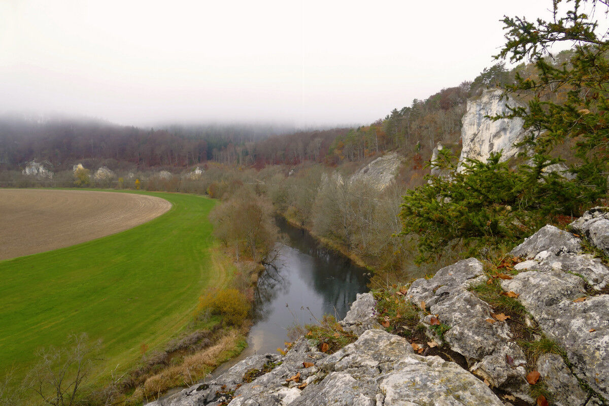 Blick auf die Donau.