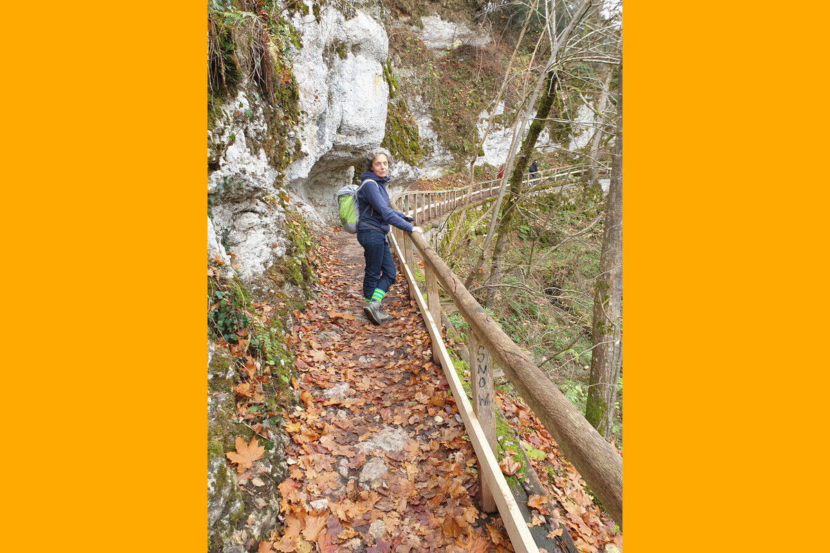 Auf dem Klosterfelsenweg.