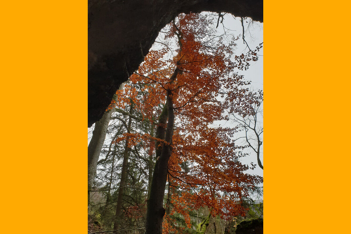 Auf dem Klosterfelsenweg.