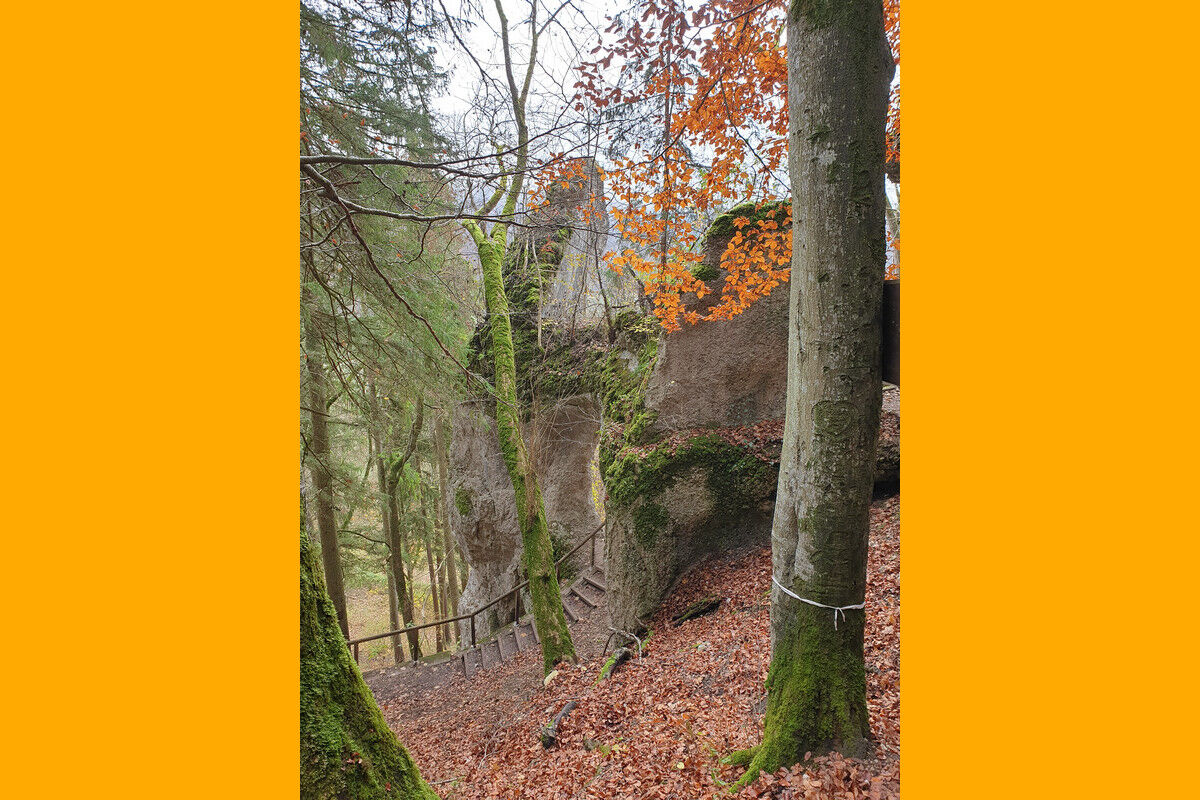 Auf dem Klosterfelsenweg.