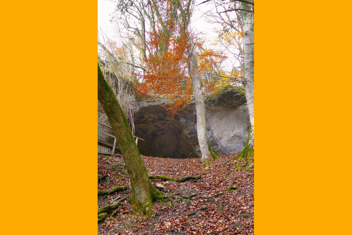 Auf dem Klosterfelsenweg.