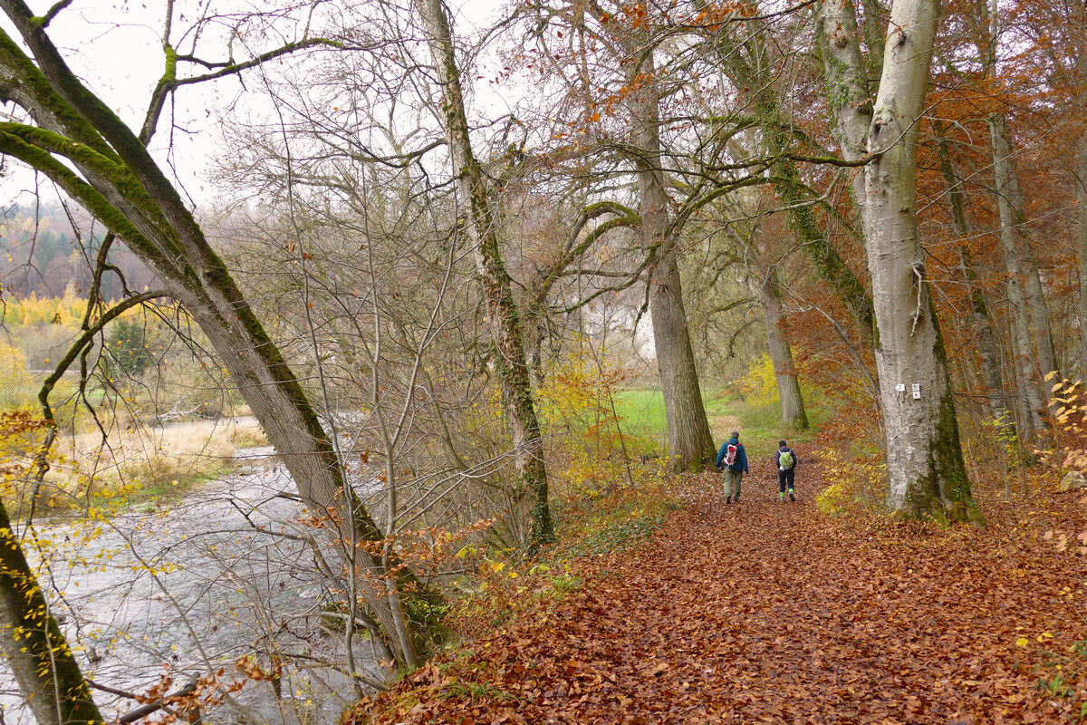 Klosterfelsenweg entlang der Donau.