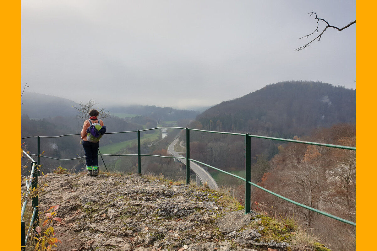 Blick über das neblige Donautal.