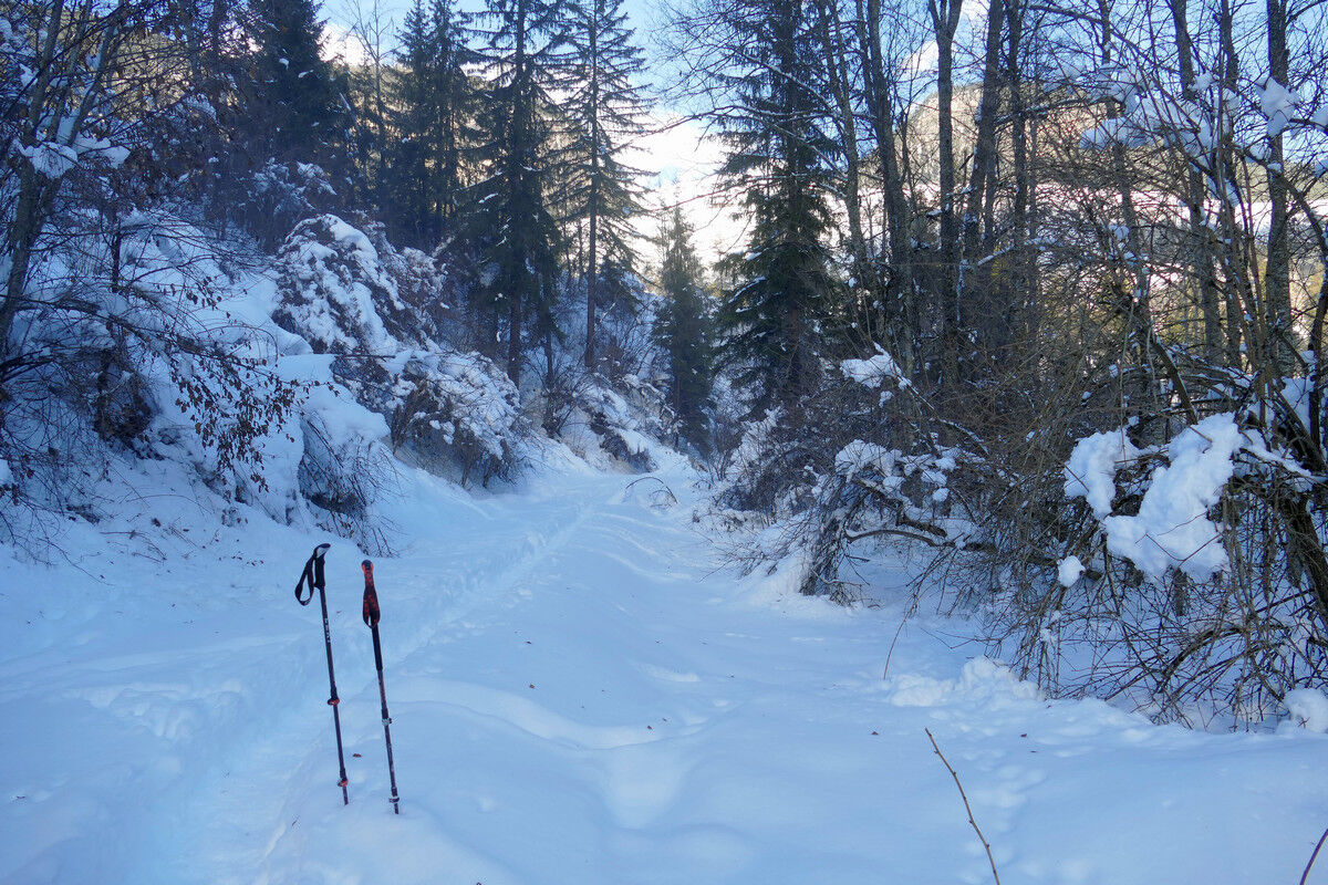 Der Pfad zum Aussichtspunkt Brückenpfeiler führt entlang der Landwasser.