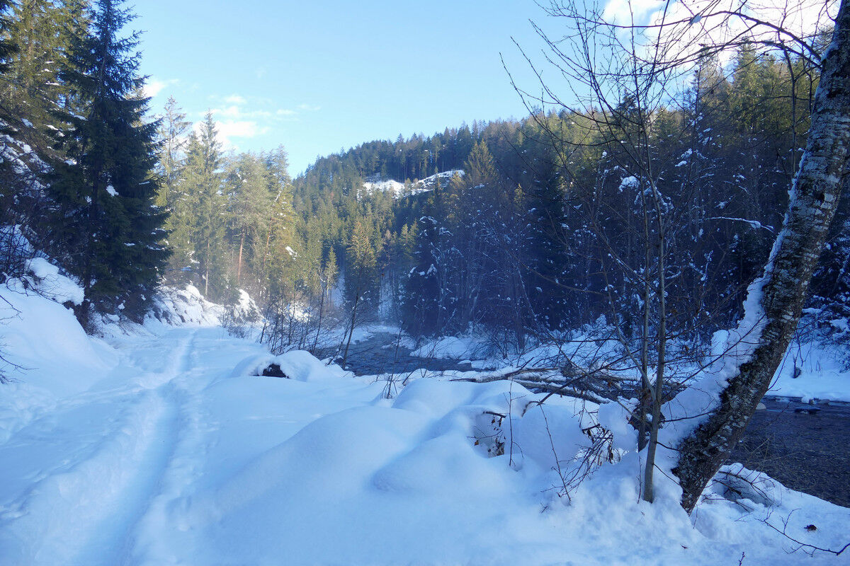 Der Pfad entlang der Landwasser.