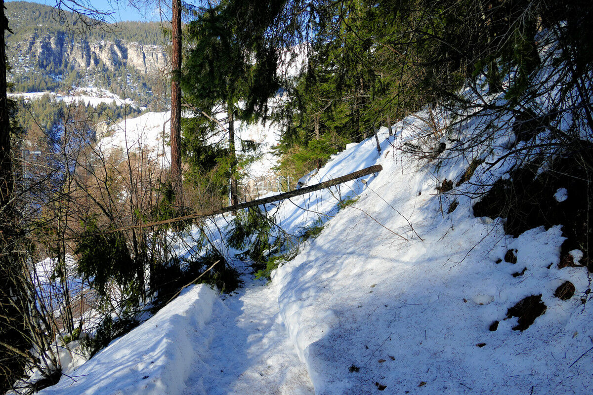 Kleines Hindernis auf dem Weg zur Aussichtsplattform Süd.