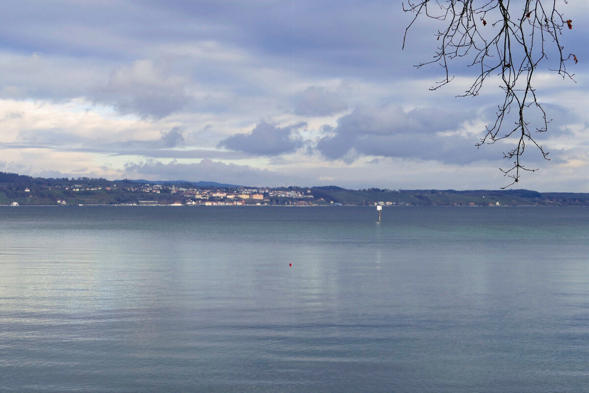 Blick über den See nach Meersburg.