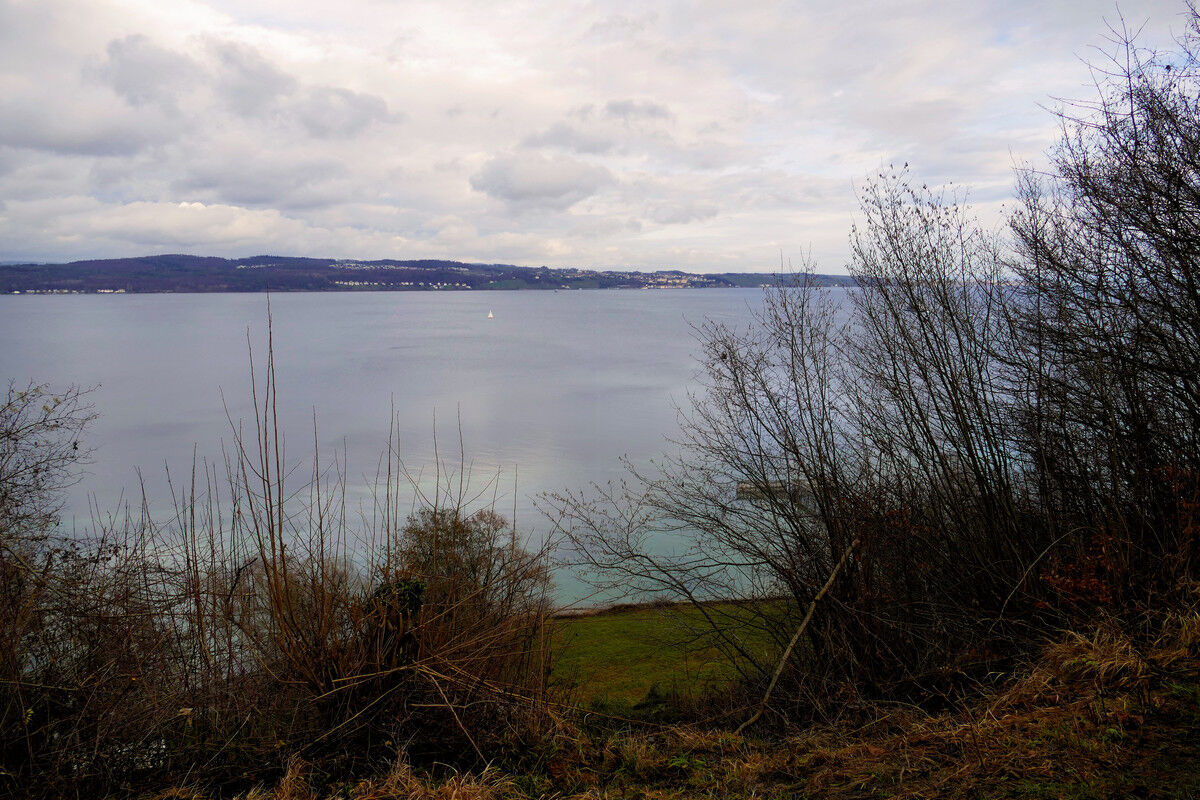 Hohenegg: Blick von der Hangkante auf den See.