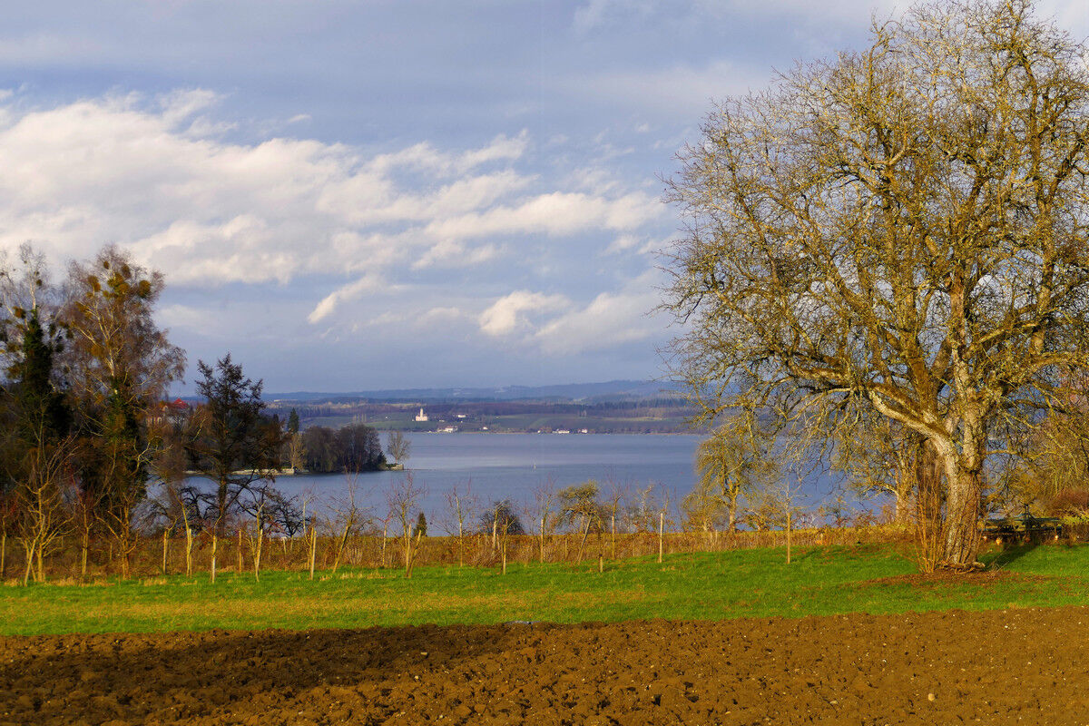Blick über den Überlinger See auf die Birnau.