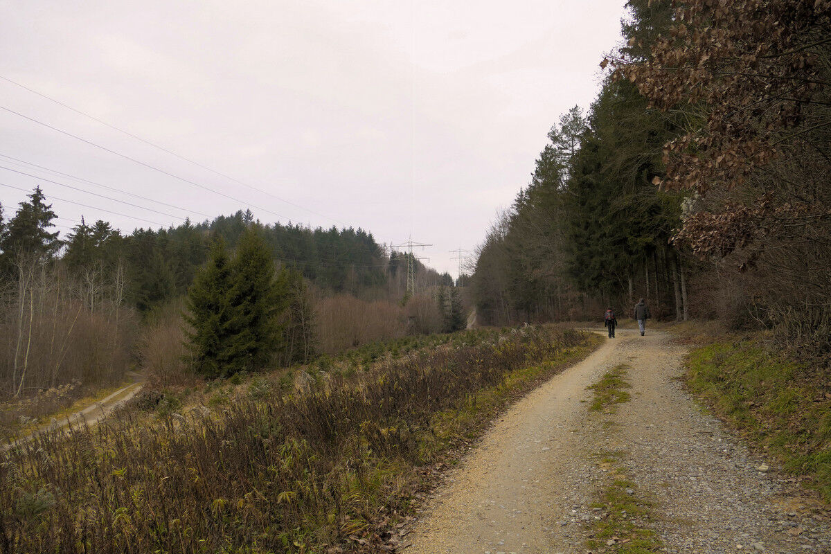 Aufstieg zum Hochfirst.