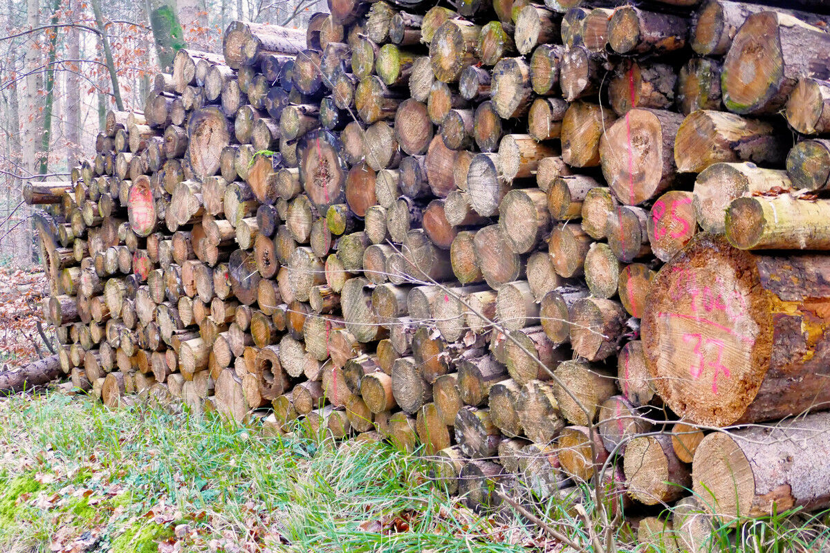 Auf dem Weg zum Hochfirst.