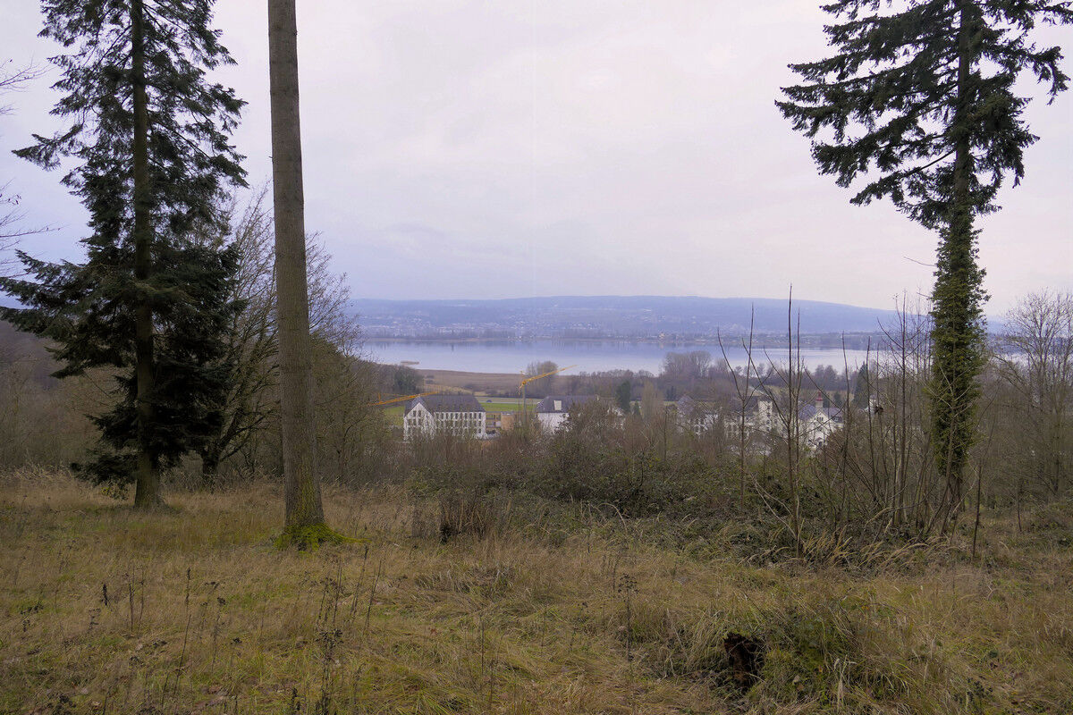 Aussichtspunkt Hochfirst: Blick auf die Reichenau.
