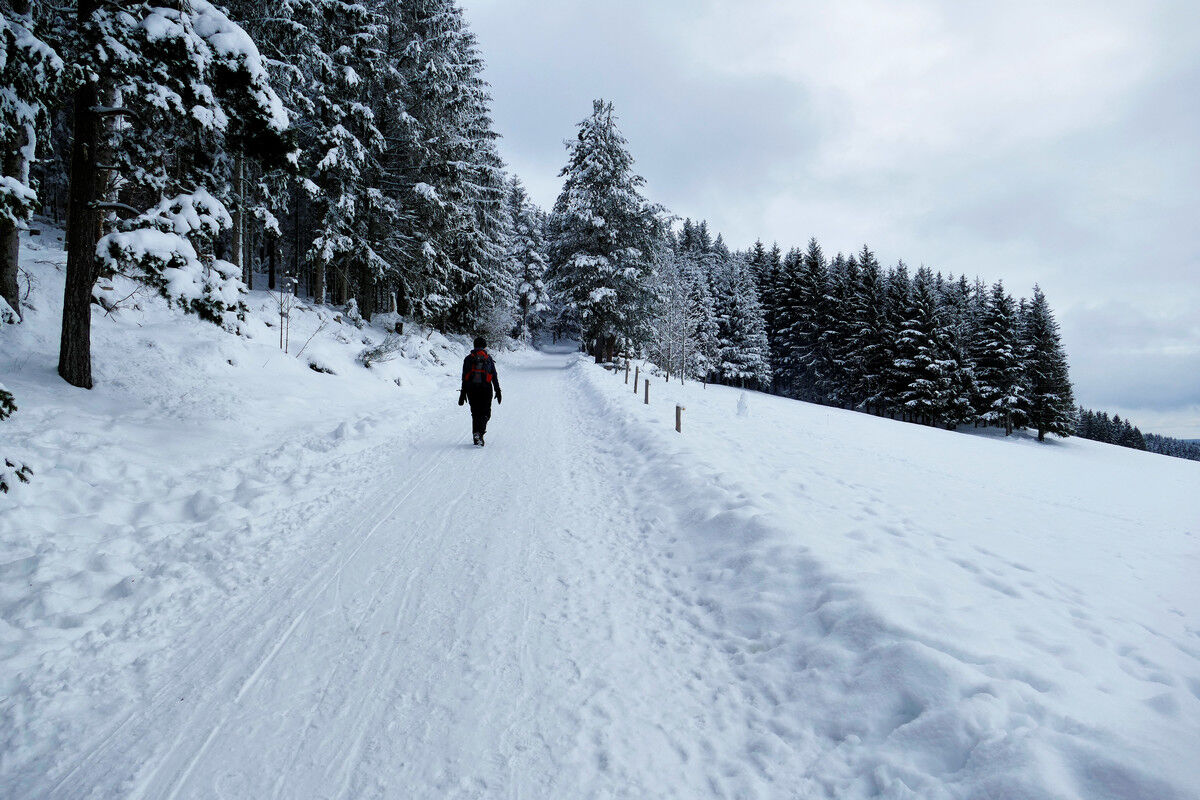 Auf dem Weg hoch zum Hochfirst.
