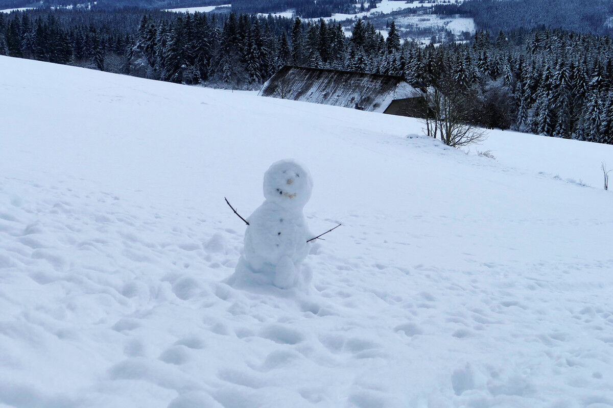 Auf dem Weg hoch zum Hochfirst.
