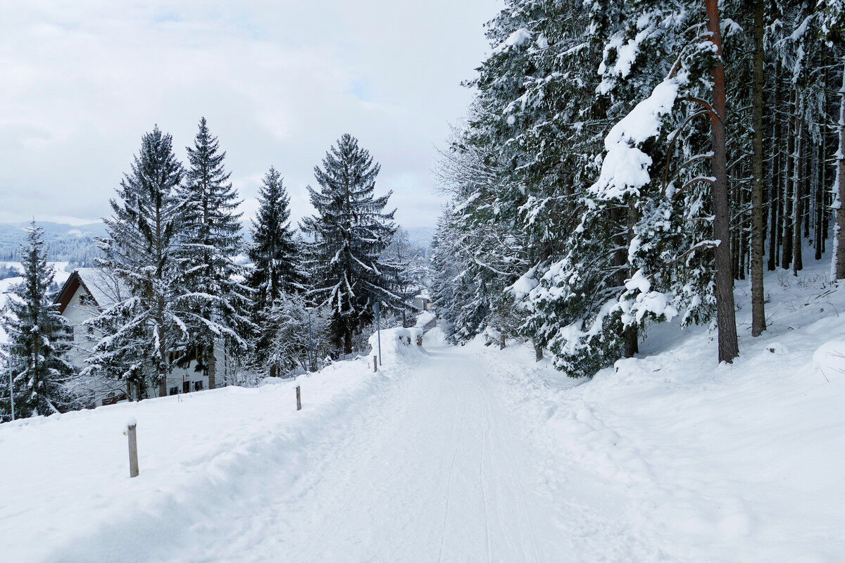 Auf dem Weg hoch zum Hochfirst.