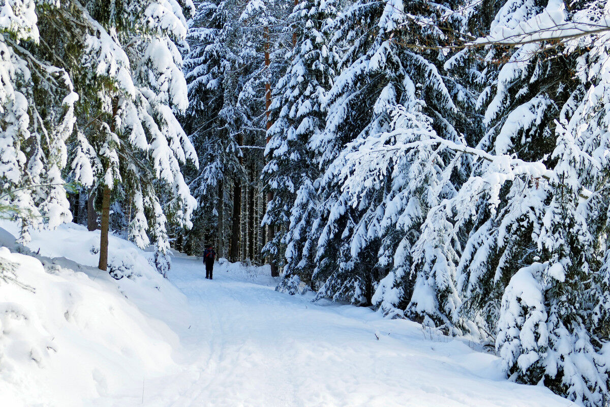 Auf dem Weg hoch zum Hochfirst.