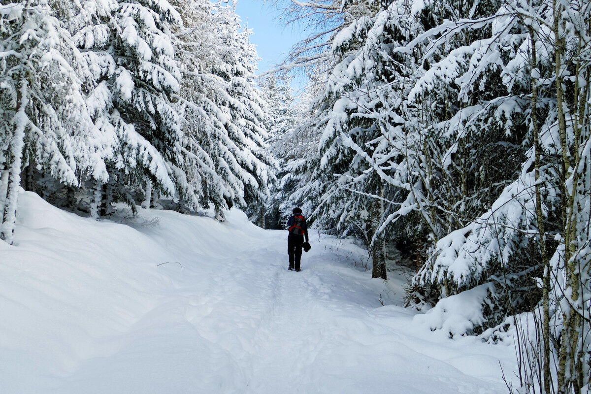 Auf dem Weg hoch zum Hochfirst.