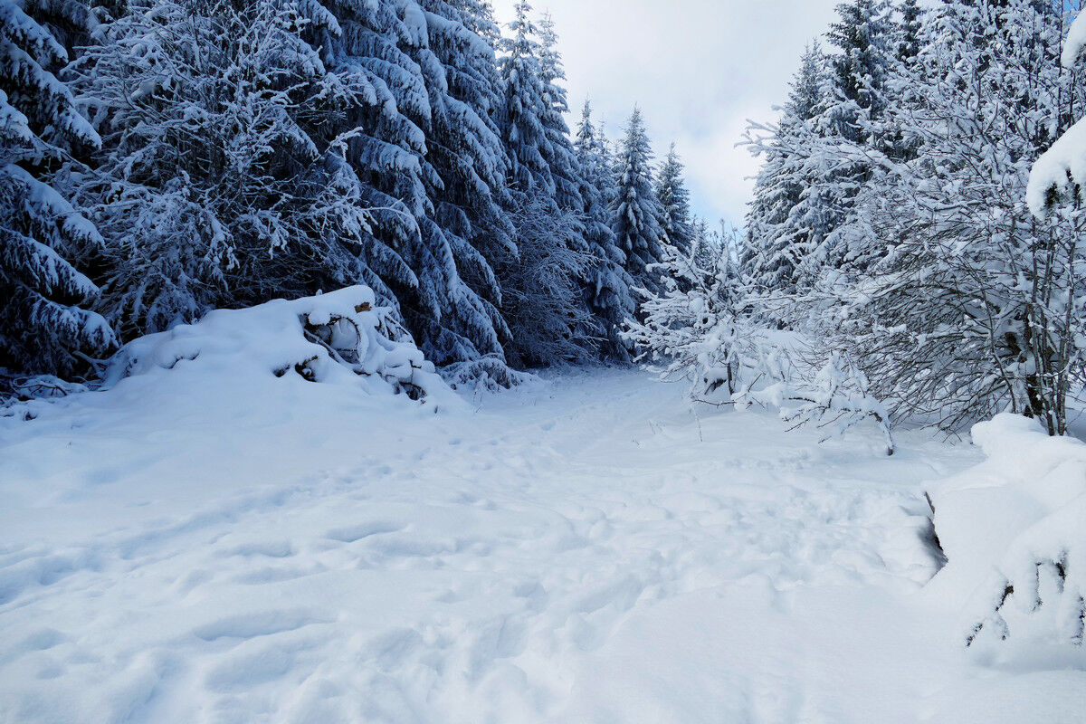 Auf dem Weg hoch zum Hochfirst.