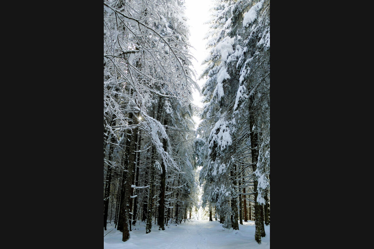 Auf dem Weg hoch zum Hochfirst.