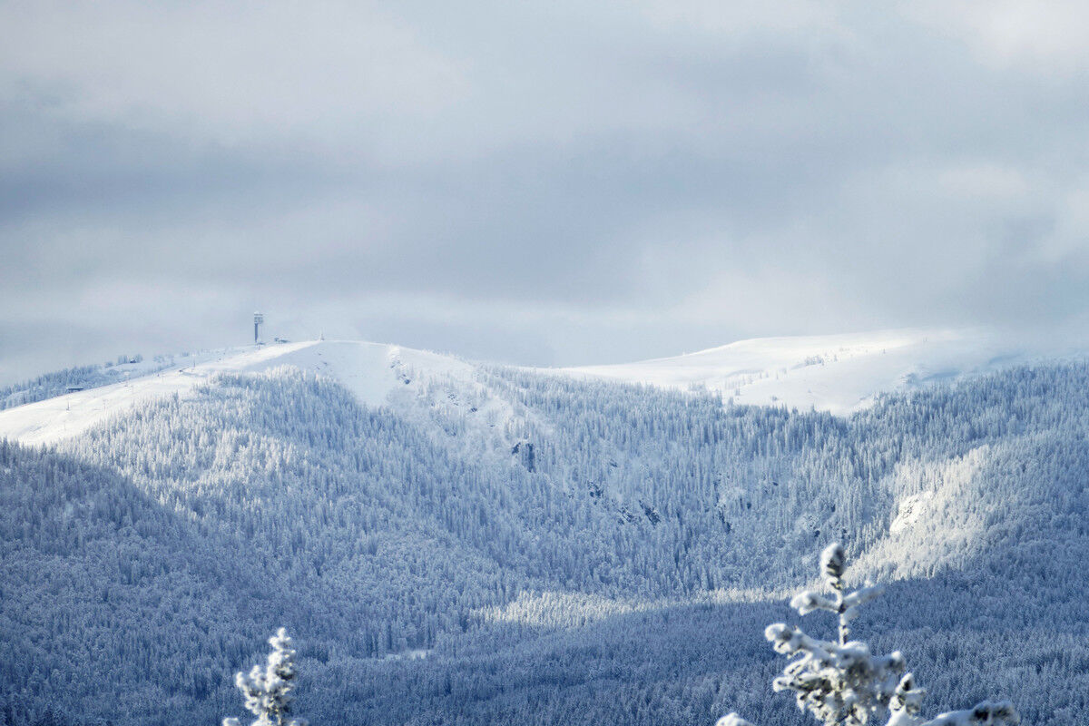 Bei der Balzenwaldhütte: Blick zum Feldberg.