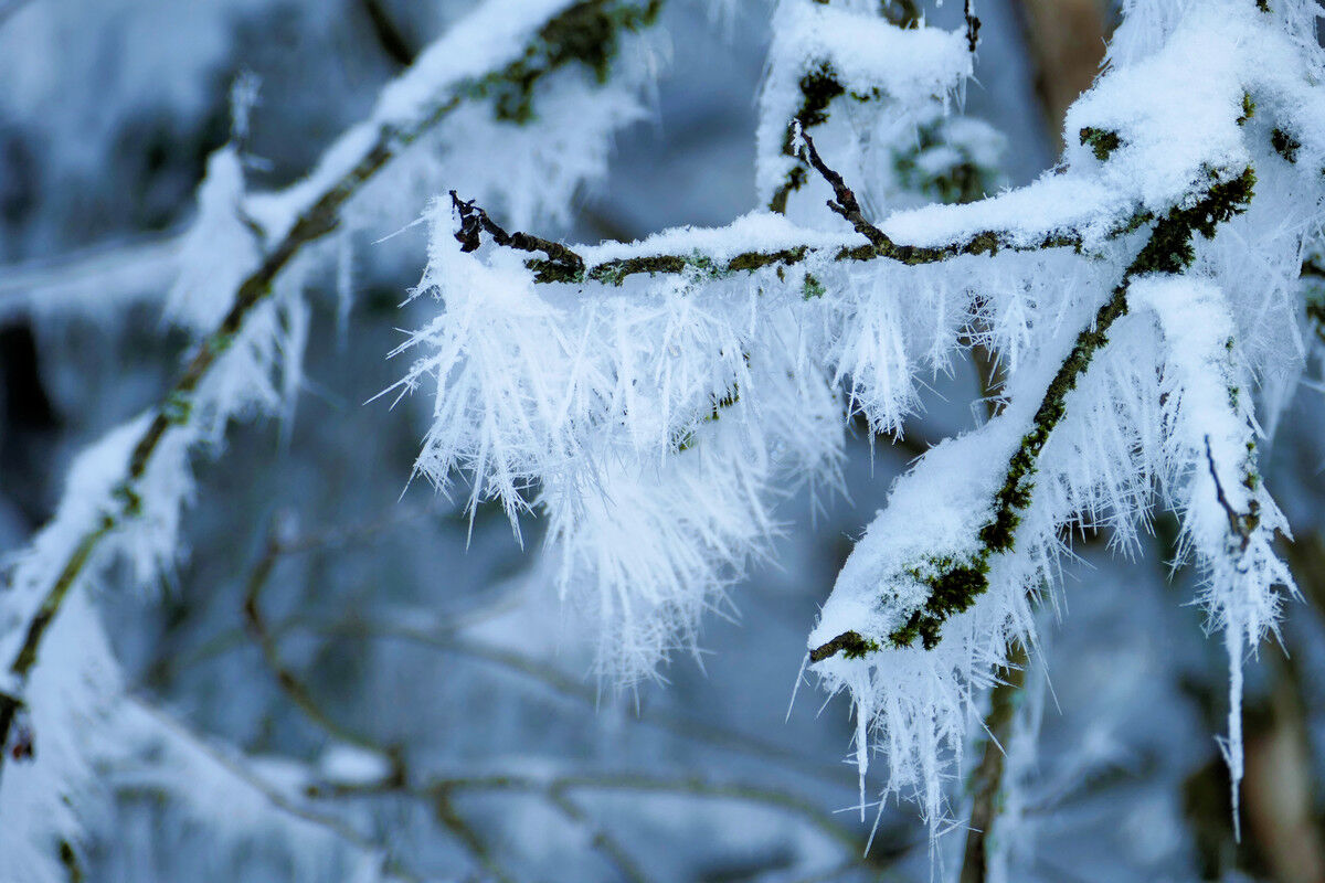 Auf dem Weg abwärts nach Saig.
