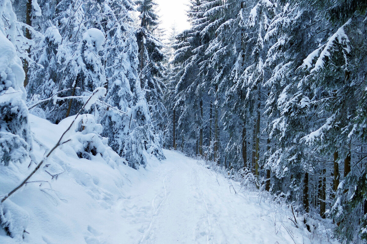 Auf dem Weg abwärts nach Saig.