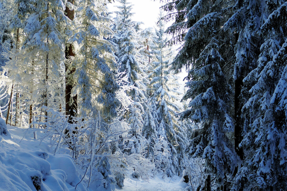 Auf dem Weg abwärts nach Saig.