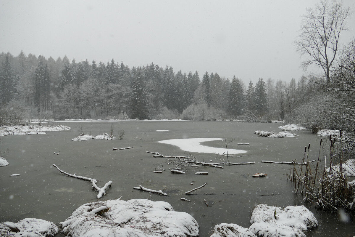 Dingelsdorfer Weiher.