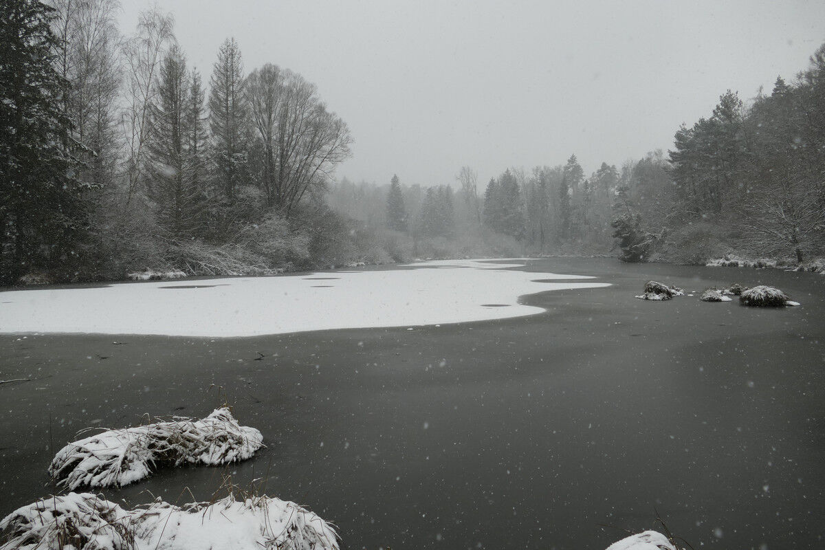 Dingelsdorfer Weiher.
