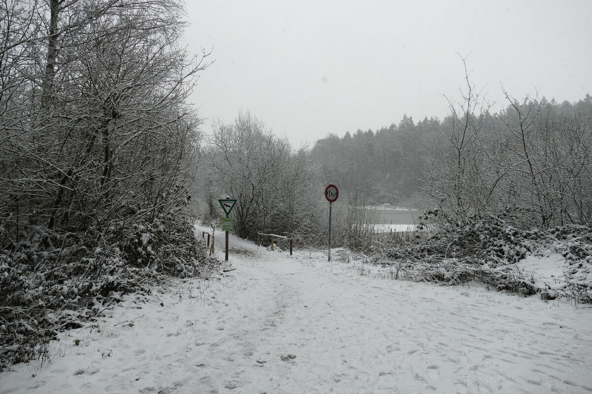 Dingelsdorfer Weiher.
