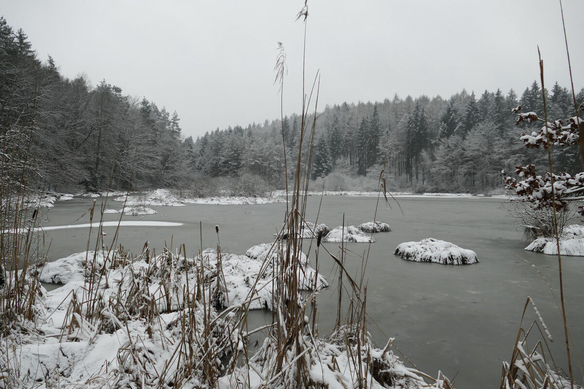 Dingelsdorfer Weiher.
