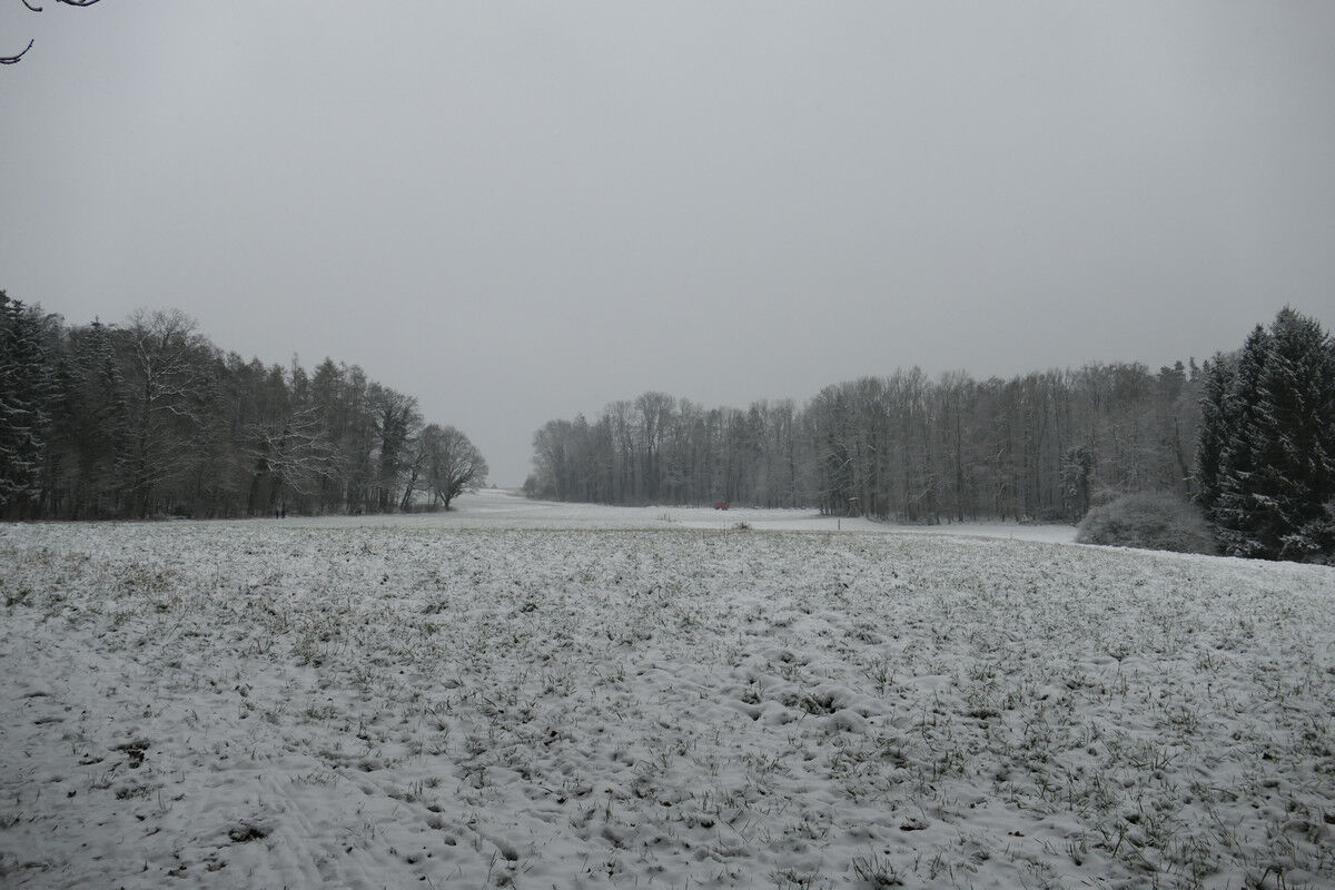 Winterfeld.