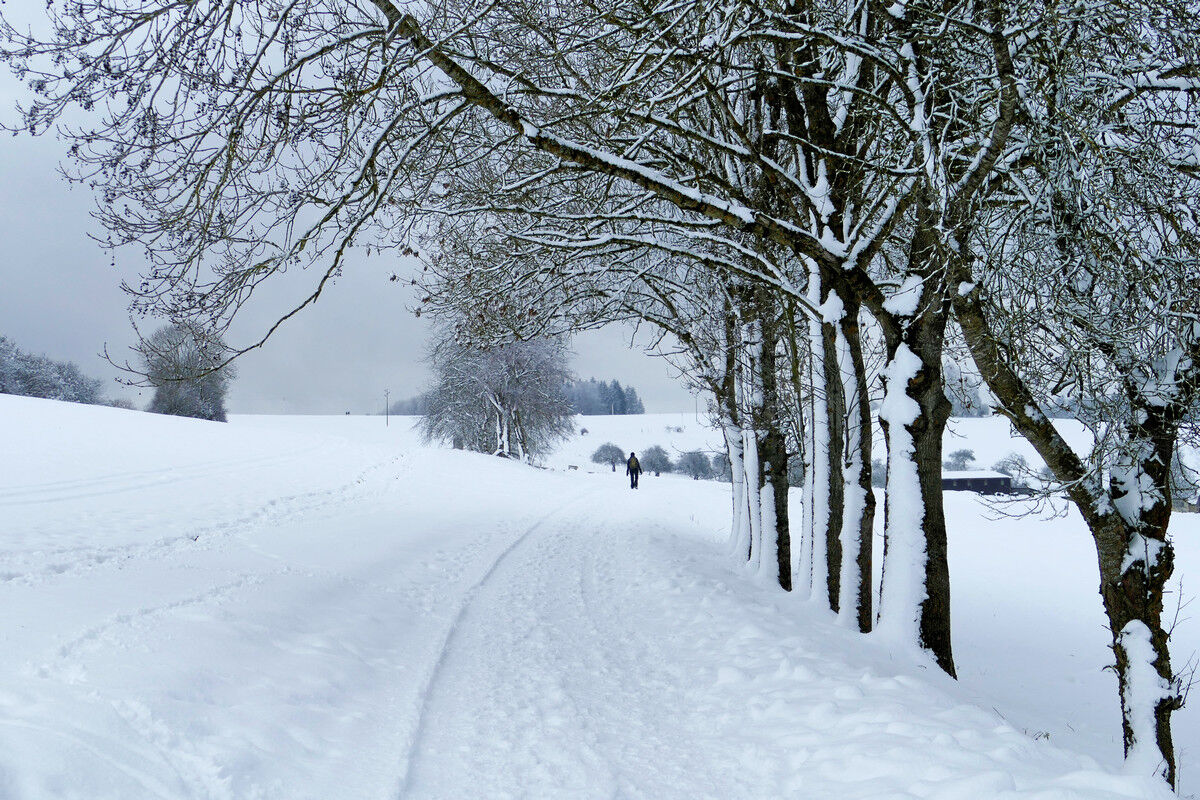 Winterwanderweg.