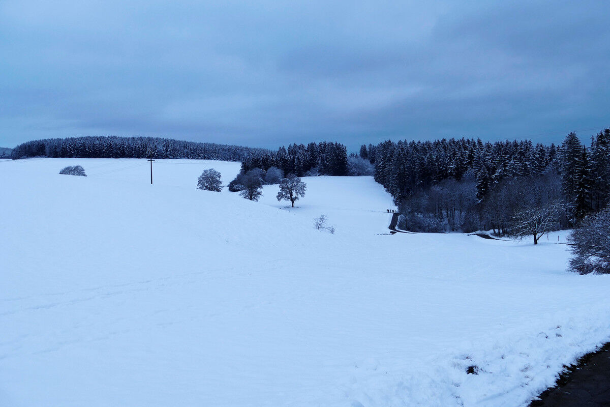 Auf dem Rundwanderweg.