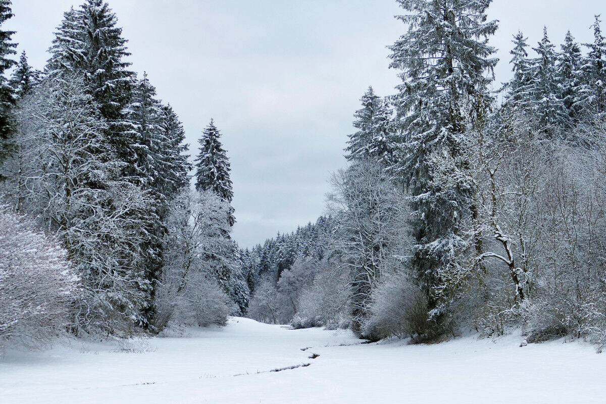 Auf dem Rundwanderweg.