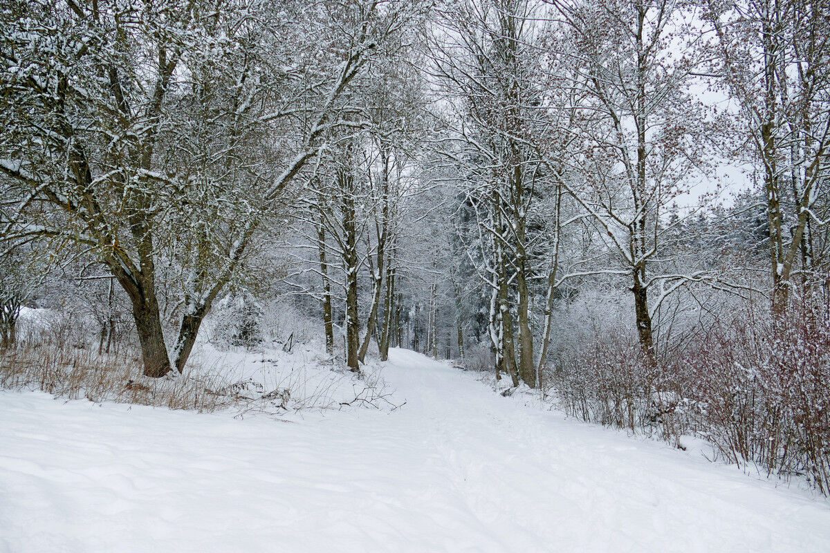 Auf dem Rundwanderweg.