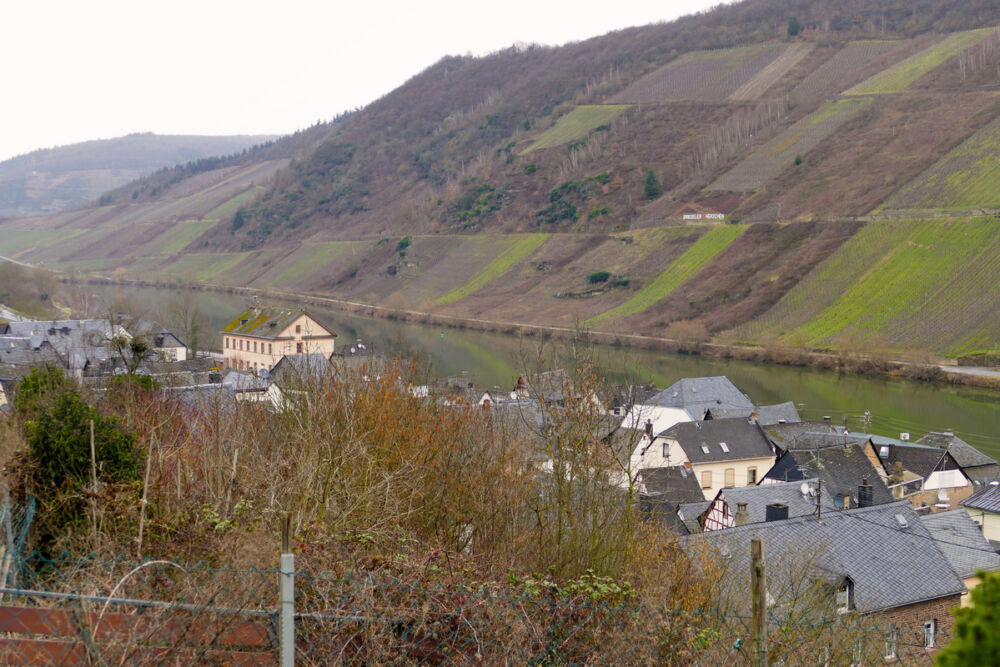 Blick auf Briedel und die Mosel.