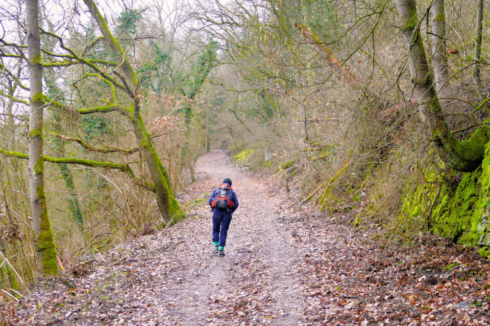 Auf einem breiten Weg geht es zunächst aufwärts.