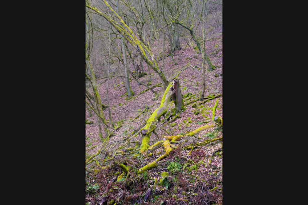 Auf dem schmalen Hangpfad.