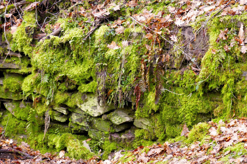 Auf dem schmalen Hangpfad.