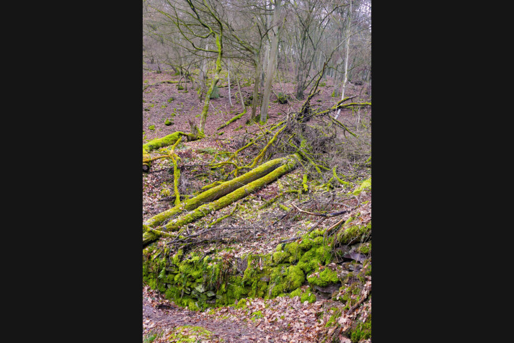 Auf dem schmalen Hangpfad.