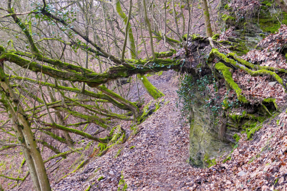 Auf dem schmalen Hangpfad.