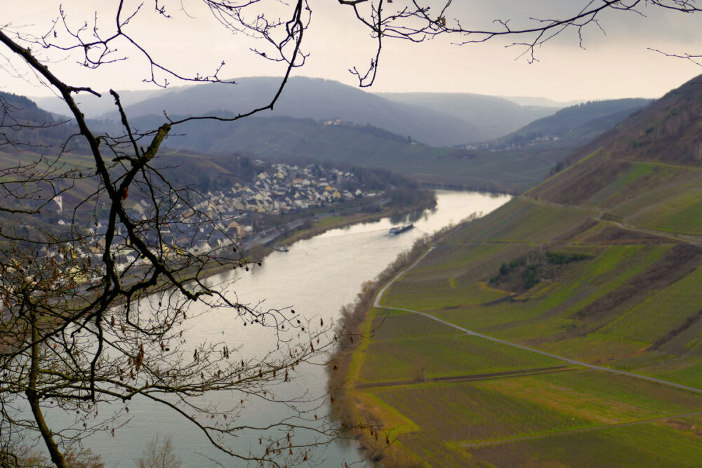 Blick vom Hangpfad auf die Mosel.