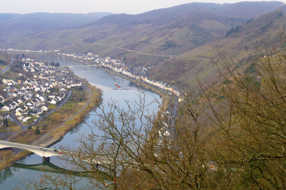 Blick vom Beinter Kopf auf die Mosel.