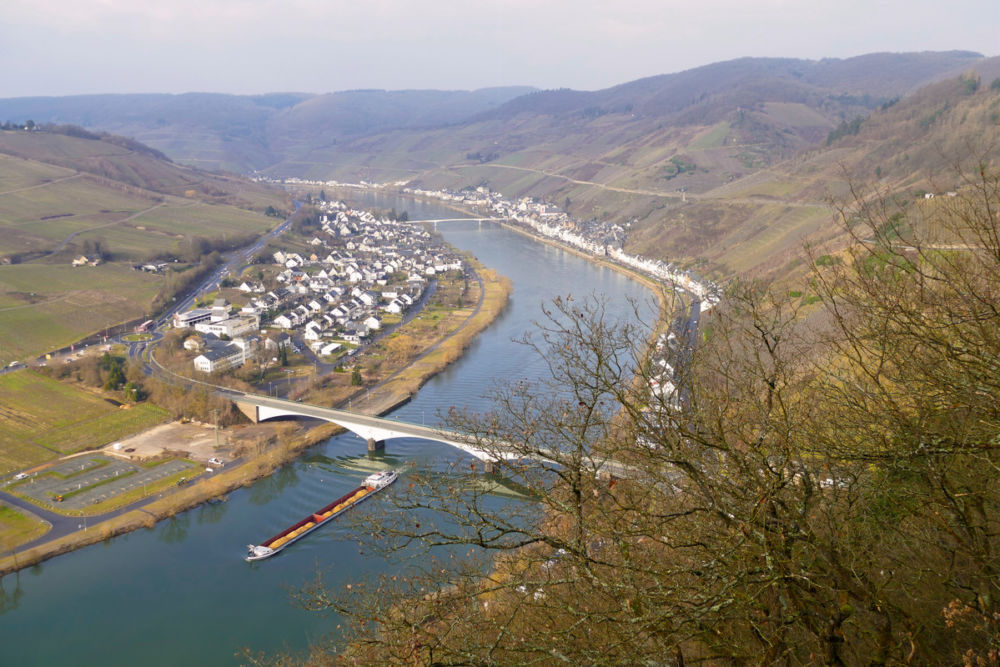 Blick vom Beinter Kopf auf die Mosel.